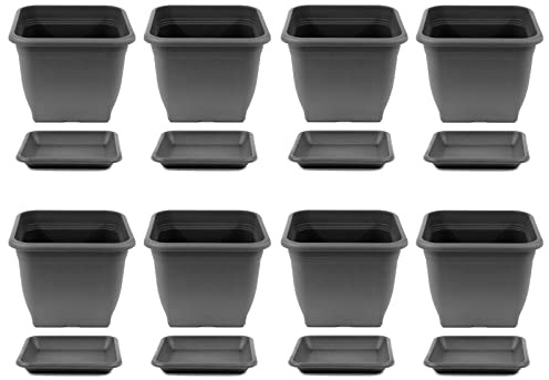 HAC24 8X Pflanztopf 23 x 23 cm Kunststoff incl. Untersetzer Eckig Anthrazit Pflanzkübel Pflanzuntersetzer Blumentopf Blumenkübel Pflanzcontainer