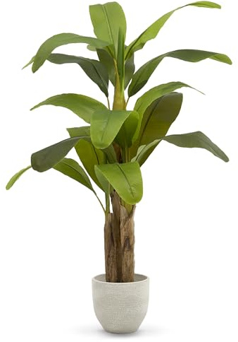 Maia Shop | Künstliche Bananenpflanze | Kunstpflanze | Maße: 150 x 80 cm | Künstliche Pflanzen | Fake Plant | Plastik Pflanze | Deko | Deko Wohnzimmer
