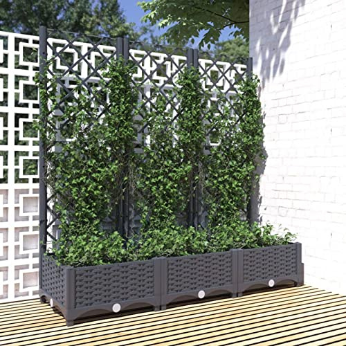 Yolola Pflanzkasten Mit Rankgitter Pflanzkübel mit Spalier Blumenkasten mit Rankgitter, Pflanzkasten für Kletterpflanzen, Hochbeet mit Spalier, Blumenkübel für Garten Dunkelgrau 120x40x121,5 cm PP