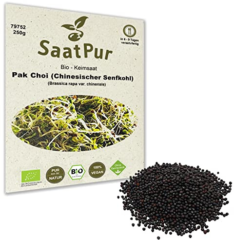 250 g BIO Keimsprossen Pak Choi (Chinesicher Senfkohl) Samen für die Sprossenanzucht Sprossen Microgreen Mikrogrün