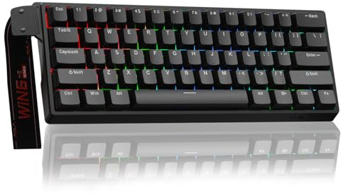 AULA WIN60 HE Mechanische Gaming Tastatur mit Kabel,Hall Effect Magnetic Switches,Rapid Trigger,Einstellbare Betätigung,60% RGB Tastatur für PC/Mac