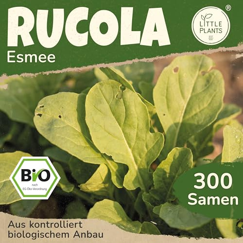 Little Plants BIO Rucola Samen 300 Rucolasamen Esmee Rukola Gemüsesamen für Gemüsegarten Samenfest Gemüse Samen für Küche, Balkon und Garten