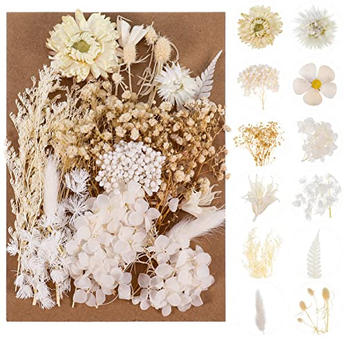 Halinuia Natürlicher Trockenblumenstrauß Echte Blumen gepresst Dekoration für Basteln Epoxydharz Blumenschmuck Nail Art DIY Kerze Handarbeit Scrapbooking(Weiß)