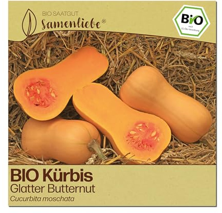 Samenliebe BIO Kürbis Samen | Butternut Kürbis - glatt & nussig - samenfestes BIO Saatgut