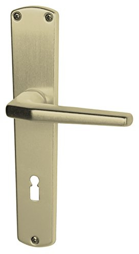 Alpertec aluminium Phil - LS Langschildgarnitur für Zimmertüren in F2 eloxiert BB Drückergarnitur Türdrücker Türbeschläge, 72 mm, 40400010PO