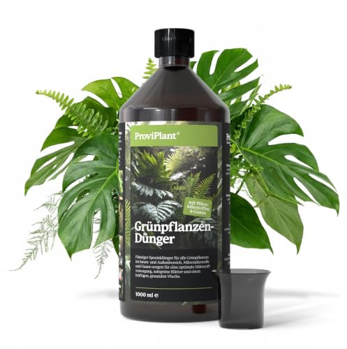 ProviPlant Grünpflanzen Flüssigdünger – Für Monstera, Ficus & Zimmerpflanzen – 1 Liter Konzentrat für bis zu 200 Liter Gießwasser – Made in Germany