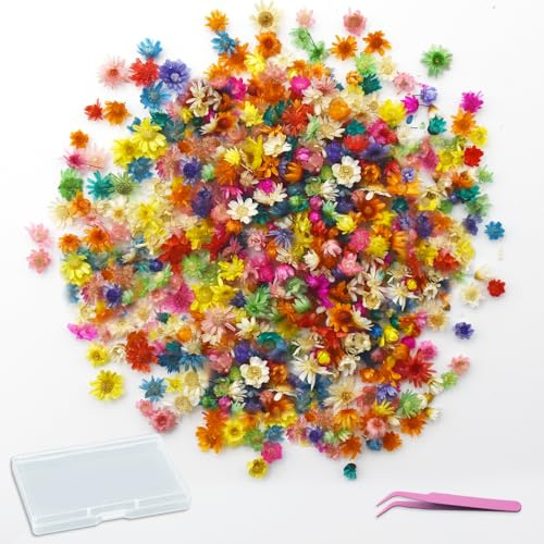 PXBSNB 420 Stück Trockenblumen zum Basteln, Mini Trockenblumen, Natürliche Getrocknete Blumen, Bunte Trockenblume Klein, Trockenblume Deko für DIY Seife Nagel Duftkerzen Scrapbooking Harzarbeiten