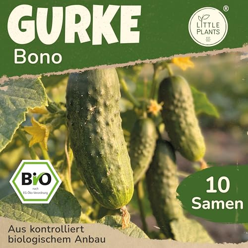 Little Plants BIO Freilandgurken Samen 5 Gurkensamen Bono Gemüsesamen Samenfest für Gemüsegarten Gemüse Samen für Küche, Balkon, Hochbeet und Garten