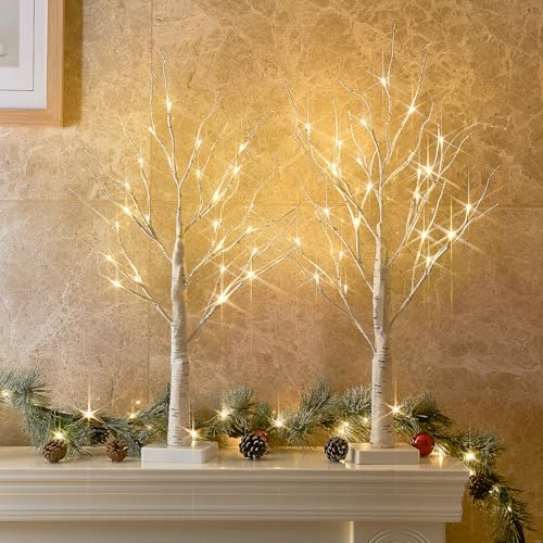 EAMBRITE 2er Set Lichterbaum Lichterzweige für Innen 24 Warmweiß LEDs Bäumchen Birken Dekozweige Batteriebetrieb Weihnachtsdeko für Zuhause Party Geburtstag Hochzeit Innendekoration (60cm/2ft)