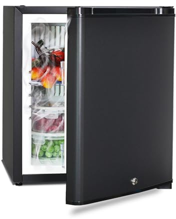 Smad Camping Kühlschrank 12v 230v, 30L, Mini Kühlschrank 12v mit Schloss für Auto, Büro und Schlafzimmer, Wendetür, Schwarz