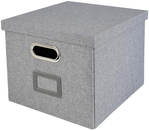 HMF Aufbewahrungsbox mit Deckel für DIN A4 Hängeregister | passend für Kallax | 33 x 37,5 x 28 cm | Grau