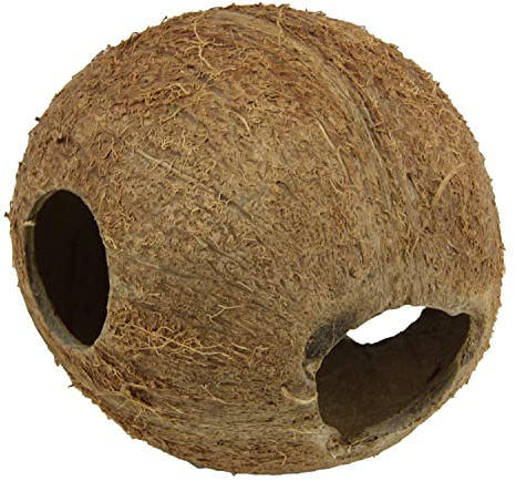 JBL 61514 Kokosnuss-Schale als Höhle für Aquarien und Terrarien, Cocos Cava 1/1 M