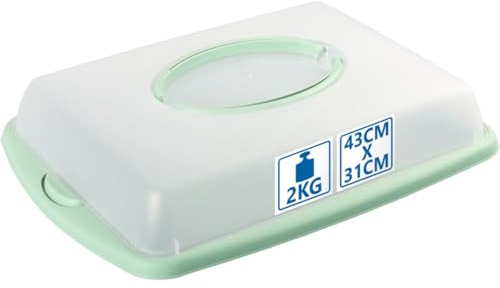 Stimo Kuchen Transportbox mit Tragegriff Deckel Kuchenbehälter Blechkuchen Container mit Klickverschluss (Mintgrün)