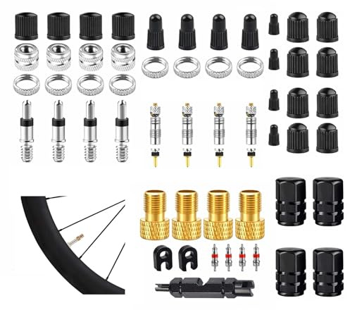 55 Stück Fahrradventil, Fahrrad Ventil Set mit Adaptern & Kappen – Presta auf Schrader Adapter, Ventilkappen, Ventileinsätze, Ventilschlüssel für MTB, Rennrad, E-Bike, Citybike