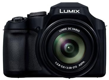 Panasonic Lumix DC-FZ82DE Bridgekamera mit 20-1200 mm F2.8-5.9 Objektiv, 18,1 MP, 4K Video & Foto, OLED Live-View-Sucher, LCD-Touchscreen, USB-C, Schwarz