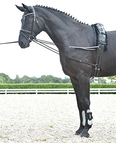 Laufferzügel BASIC-KORDEL