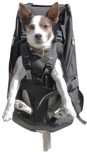 Patentierter Premium Leg Free Rucksack zum Tragen von Hunden Hunderucksack Hundetrage Hundetragerucksack für Hunde