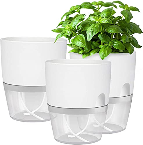 iDattel Kräutertopf Küche Set,Blumentopf Fensterbank selbstbewässernd-3er Set Kräutergarten für die Küche,18.2X 11x 15.3 cm, für frische Küchenkräuter, weiß