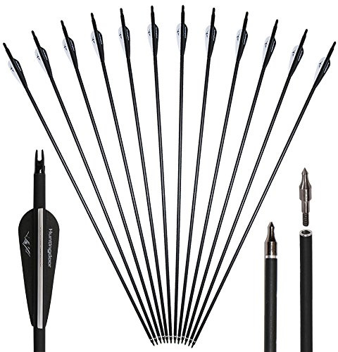 Huntingdoor 12er Pack 30 Zoll Pfeile Jagdpfeile mit Vanes und drehbare Nocken Pfeile für bogenschießen für Recurvebogen Compoundbogen Langbogen Zielübungen im Freien (Schwarz)