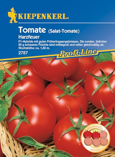Kiepenkerl, Tomaten Harzfeuer