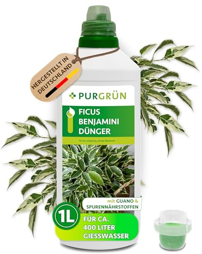 Purgrün® Ficus-Benjamini-Dünger 1 Liter – Stickstoff und Guano für gesundes Wachstum – Spurennährstoffe für eine lebendige Blattfärbung – Ergiebiges Konzentrat für ca. 400 Liter Gießwasser