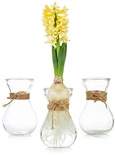 Glasvasen Für Blumen Mit Schnurseil 3 Stück/Set Blumenarrangements, Blumenvasen Glas, Kristallknospenvasen Kreativ Für Hochzeit, Zuhause, Küche, Gartenbalkon Dekoration