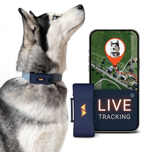 PAJ GPS Tracker für Hunde 4G - inkl. 3 Monate Premium ABO - Weglaufalarme + weltweite Live-Ortung - bis zu 10 Tage Akkusparmodus - Hunderückruf - Wasserdicht (IP67) - passt an jedes Halsband, Blau