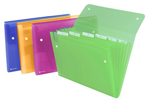 Rexel Fächermappe Ice farblich sortiert (6 Taschen, 120 Blatt)