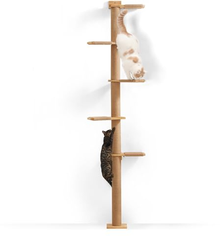 FUKUMARU Kratzbaum, 5 Etagen bis zur Decke reichender Katzenturm(206 cm), wandmontierter Katzenbaum,aus Natürliches Gummibaumholz, für Katzen zum Klettern, Kratzen, Ausschau halten und Spielen.