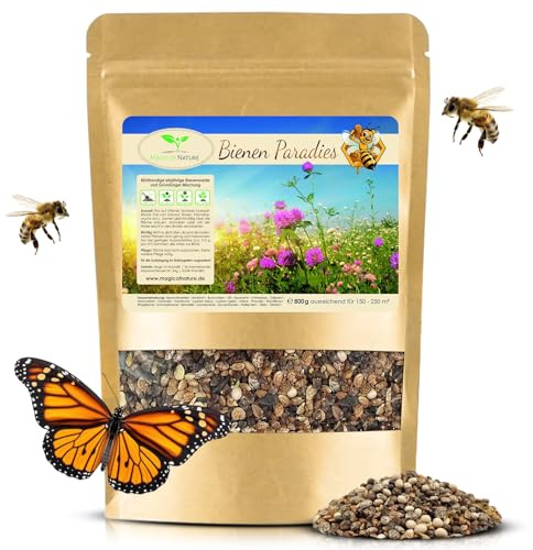 Magic of Nature Blumensamen Mischung - Bienen Paradies - 800 gr. - Kinderleichte Anwendung - Blühfreudige Bienenweide - Aussaat-Tipps - Für 150 bis 250 m²