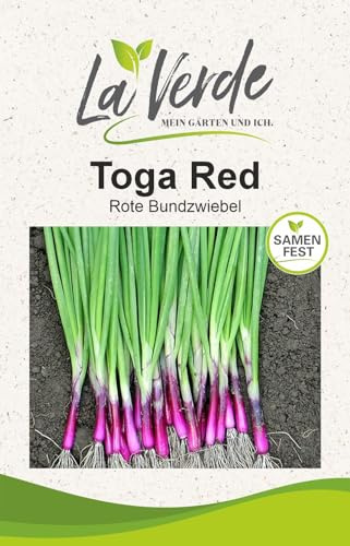 La Verde MEIN GARTEN UND ICH. Toga Red Rote Bundzwiebel Samen für ca. 300 Pflanzen, winterharte Winterheckenzwiebel, aromatisch, Saatgut ohne Gentechnik
