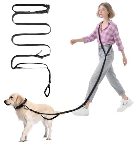 vsshe Freihandleinen Hundeleine, 2.5m Joggingleine Hunde, Verstellbarer Hüftgurt & Dehnbare Bungee-Leine, Lange Hundeleine mit Sicherheitsschnalle & Reflektierenden Nähten für Klein Mittel Groß Hunde