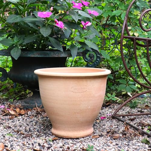 Palatina Werkstatt Pflanztopf für den Garten & Innenbereich – Rubus 30 - Winterfeste Terracotta Amphore 26cm Höhe – 100% Handarbeit – EIN wahres Schmuckstück für jeden Pflanzenliebhaber