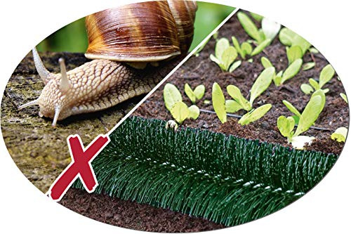 Schneckenzaun grün Ø 10 cm (10 Meter) | aus eigener Produktion, in Deutschland hergestellt