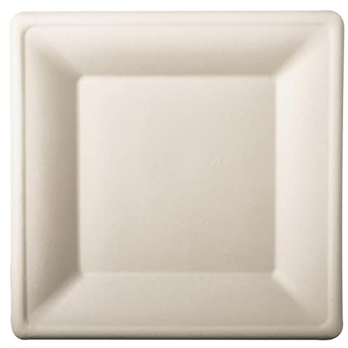 50 Teller, Zuckerrohr pure eckig 26 cm x 26 cm weiss