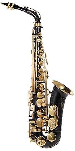 Btuty Eb Altsaxophon Messing vergoldet E-Flat Sax 82Z Schlüsseltyp Holzblasinstrument mit Reinigungsborste Tuch Handschuh Polstercase