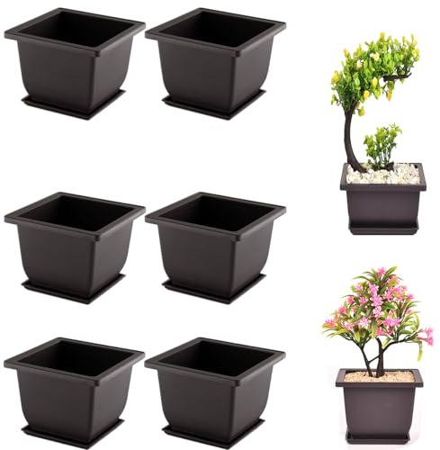 Molyorch 6 Stück BonsaiTrainingstöpfe mit Tablett Blumentopf, Quadratischer Sukkulente Topfpflanzen Pflanztopf für Garten, Wohnzimmer und Büro, Bonsai Pflanzen Pflanztopf (Quadrat)