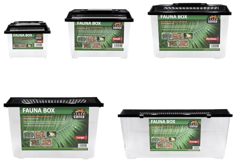 Terra Exotica Fauna Box in 5 Größen erhältlich (small 23 x 15 x 16,5 cm) Transportbox/Quarantäneterrarium für z.B. Reptilien, Amphibien, Kaninchen, Mäuse, Vögel - Terrarium
