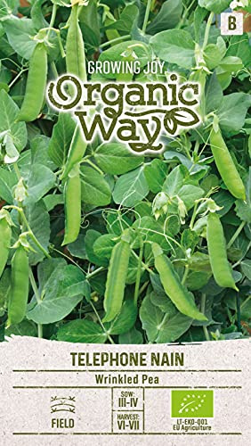 Organic Way | MARKERBSE TÉLÉPHONE NAIN samen | Gemüsesamen | Erbsensamen | Garten Samen | Eine frühe Sorte | 1 Pack