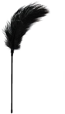Teazers schwarzer Feder-Tickler