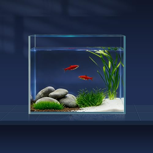 LAQUAL 3.8L-Aquarium-Set mit Fischnetz, Wasserwechsel-Schlauch & 2 Reinigungstüchern, kristallklarem Glas, ideal für Betta & Goldfische, schöne Wohn-Dekoration