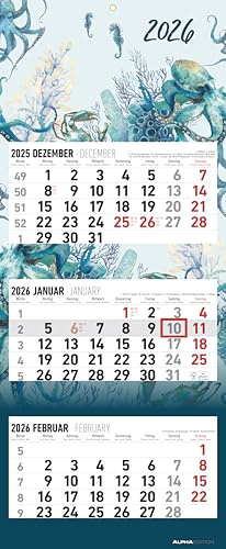 Alpha Edition - 3-Monatskalender Design 2026 – Wandkalender 33 x 80cm mit 3 Monaten im Überblick & Datumsschieber, faltbarer Büro- & Organisationskalender für Homeoffice, Arbeit & Termine