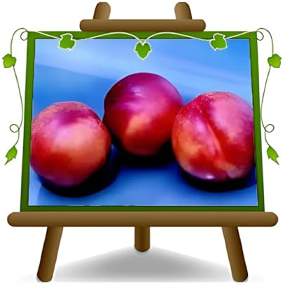 Nektarinen Pulpa Gelb Venus - Obstpflanze auf Blumentopf 20 Baum max 170 cm – 2 Jahre Anbau Italien