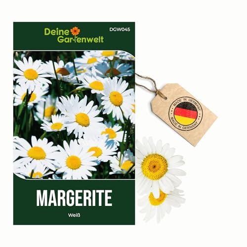 Margerite weiß Samen - Chrysanthemum maximum - Margeritensamen - Blumensamen - Saatgut für 80 Pflanzen