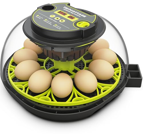 TRIOCOTTAGE Brutautomat 12 Eier mit Feuchtigkeit,Wasserversorgung,Automatischem Eierwender und Temperaturkontrolle Inkubator Brutmaschine für Hühner,Wachtel,Enten und Geflügel Eierbrüter.