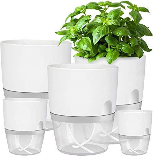 iDattel Blumentopf Mit Bewässerungssystem,Kräutertopf Küche Set Fensterbank selbstbewässernd-5er Set Kräutergarten für die Küche,15.3/10.5/8.2cm, für frische Küchenkräuter, Weiß