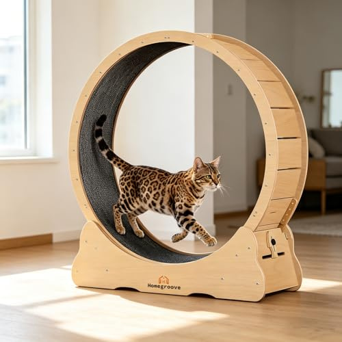 Homegroove Katzenlaufrad, 113 cm Laufrad für Wohnungskatzen, Katzenlaufrad-Laufband mit abnehmbarem Teppich zur Gewichtsabnahme und Gesundheitsförderung bei Katzen (Natural Wood Color, XL)