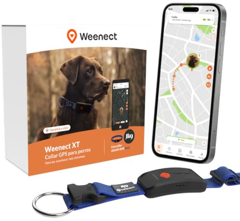 Weenect Dog XT - GPS-Halsband für Hunde | Abonnement erforderlich | Eine Position pro Sekunde • XL-Antenne • 3 Wochen Akkulaufzeit • Weglauf-Alarm < 1 Min. • Wasserdicht • JK9-Halsband