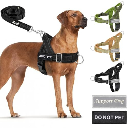 Eyein Hundegeschirr mit Leine für große mittelgroße Hunde, Weich gepolsterter Brustgeschirr mit 2 Leinenclips, Reflektierend & Leichtgewicht Anti Zug Geschirr für Spaziergänge Training, Schwarz, L
