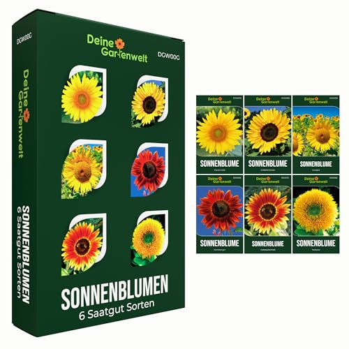 Sonnenblumen Samen Set - 6 Sorten Samen - Saatgut Sortiment - Anzuchtset für Sonnenblumen - Geschenkset - Riesensonnenblumen, Zwergsonnenblumen, Teddybärsonnenblumen und mehr